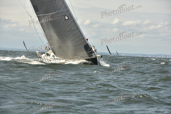 2024 Vineyard Race A_0675