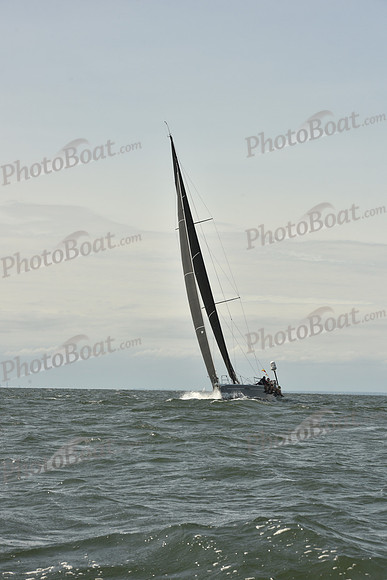 2024 Vineyard Race A_0277