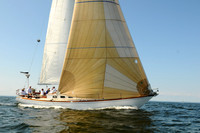 2011 Vineyard Race A 2114