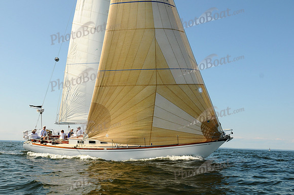 2011 Vineyard Race A 2114