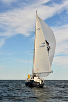 2017 Vineyard Race A_2308