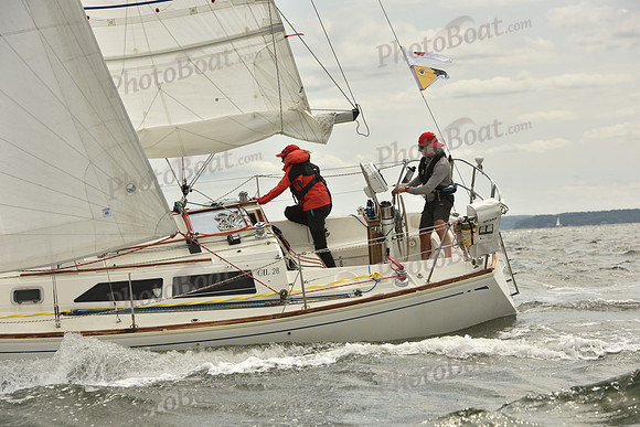 2024 Vineyard Race A_1430