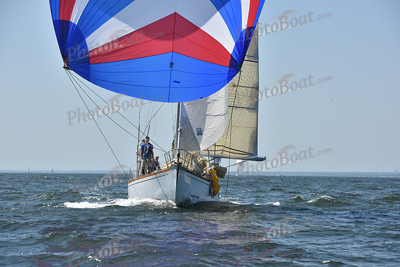 2019 Vineyard Race A_2112
