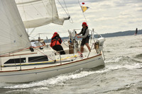 2024 Vineyard Race A_1431