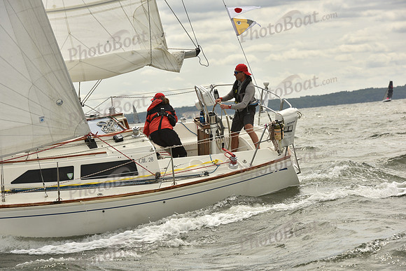 2024 Vineyard Race A_1431