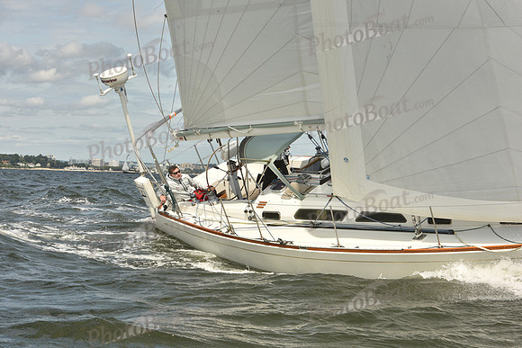 2024 Vineyard Race A_1735