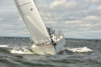 2024 Vineyard Race A_1729