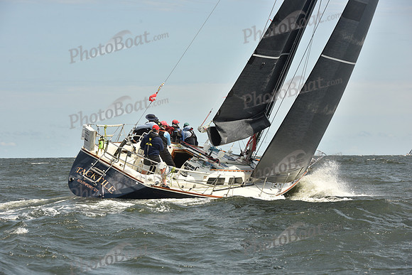 2024 Vineyard Race A_1824
