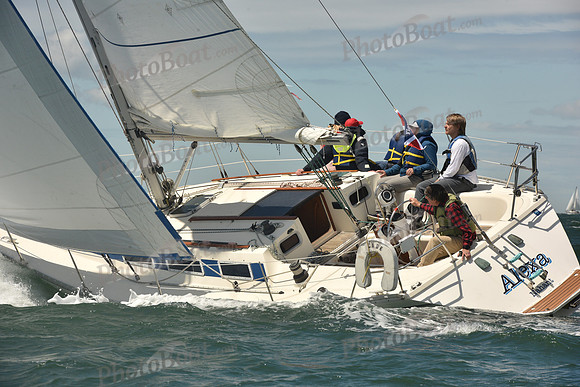 2025 Figawi_0885