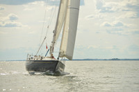 2016 Vineyard Race A_1737