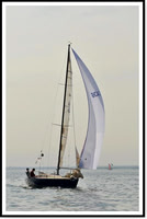 proof_2010 Block Island Race 457