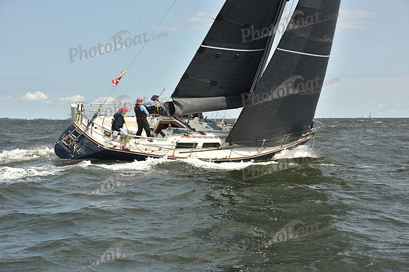2024 Vineyard Race A_1820