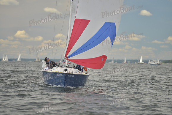 2016 Vineyard Race A_0462