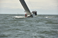 2024 Vineyard Race A_0833