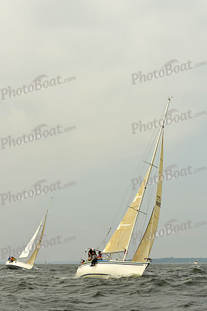 2015 Vineyard Race A 198