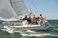 2023 Figawi 0428