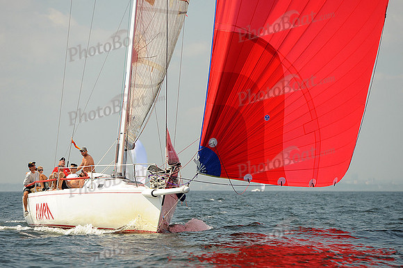 2013 Vineyard Race A 1415