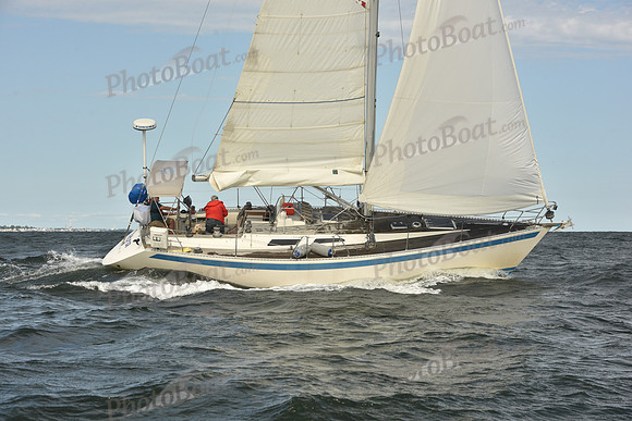 2024 Vineyard Race A_1273
