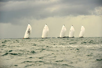 2014 Key West Race Week B 1381