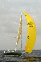 2013 Vineyard Race A 246