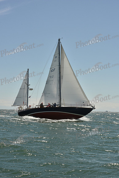 2025 Figawi_0319