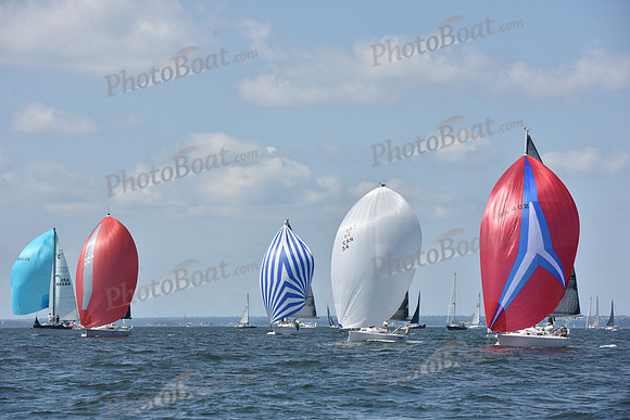 2020 Vineyard Race A_0258