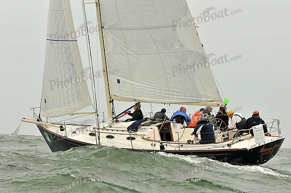 2013 Charleston Race Week A 338