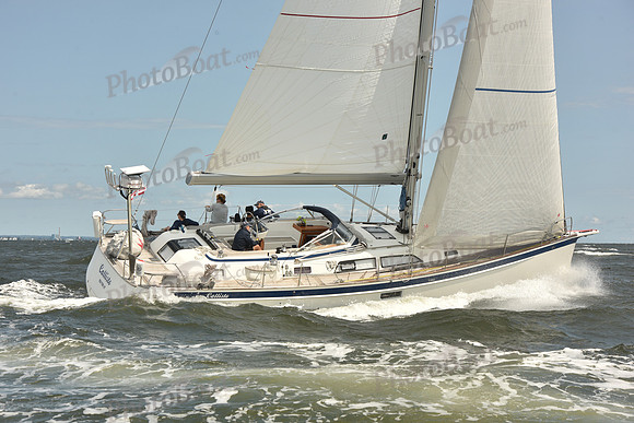 2024 Vineyard Race A_1906