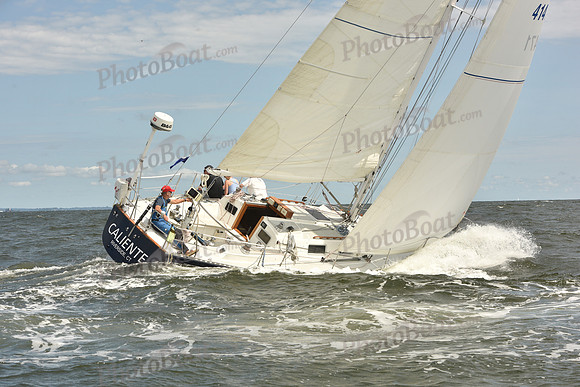 2024 Vineyard Race A_1674