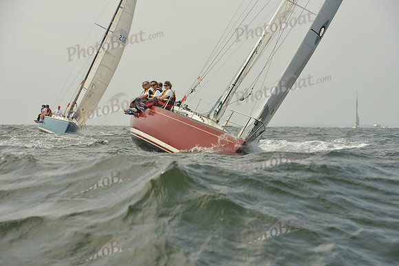 2015 Vineyard Race A 257