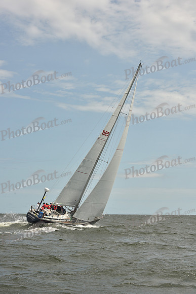 2024 Vineyard Race A_2204
