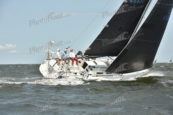 2024 Vineyard Race A_2421