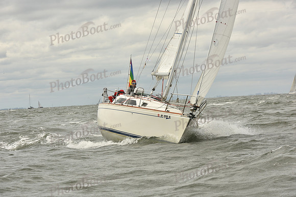 2024 Vineyard Race A_1426