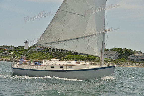 2018 Vineyard Cup B_0092