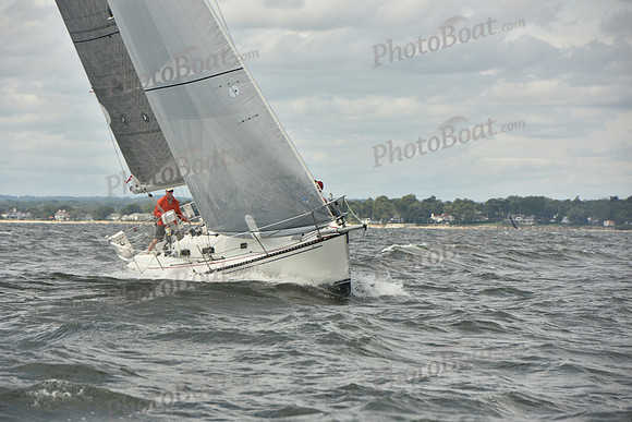 2024 Vineyard Race A_1981