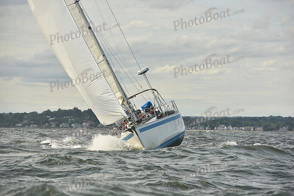 2024 Vineyard Race A_1250