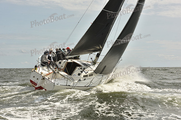 2024 Vineyard Race A_1365