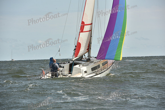 2024 Vineyard Race A_1793
