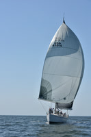 2019 Vineyard Race A_2582