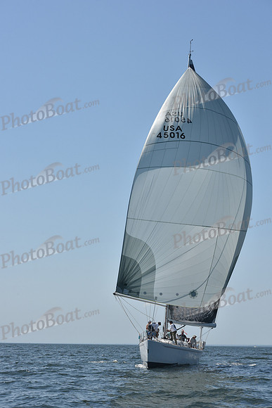 2019 Vineyard Race A_2582