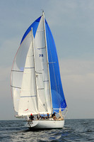 2013 Vineyard Race A 1005