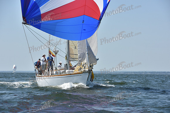 2019 Vineyard Race A_2115