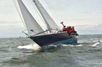 2024 Vineyard Race A_2179