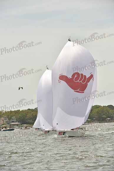 2019 Charleston Race Week E_1220