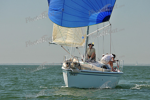 2013 Southern Bay Race Week C 1002