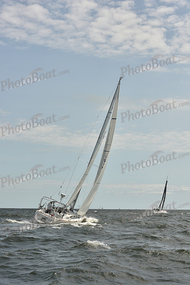 2024 Vineyard Race A_1741