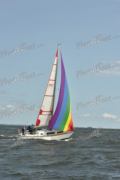 2024 Vineyard Race A_1796