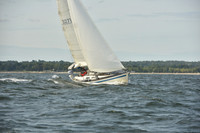 2024 Vineyard Race A_1239