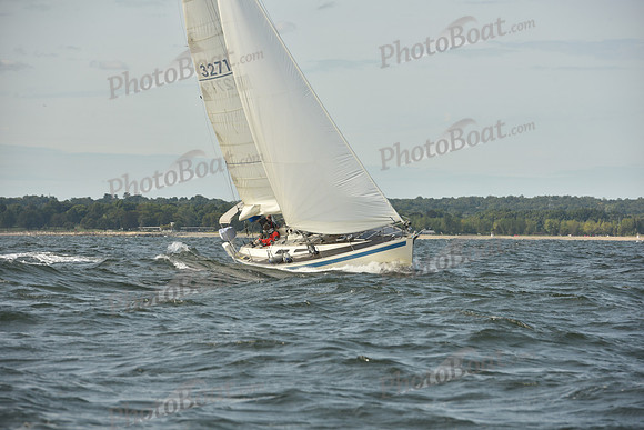 2024 Vineyard Race A_1239