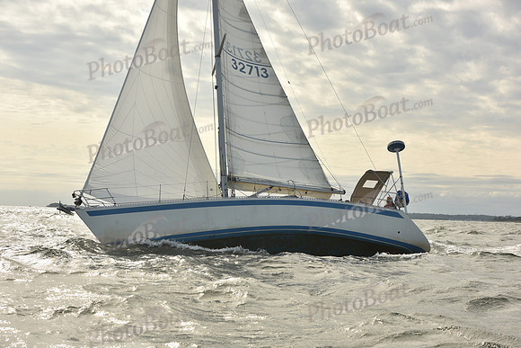 2024 Vineyard Race A_1259